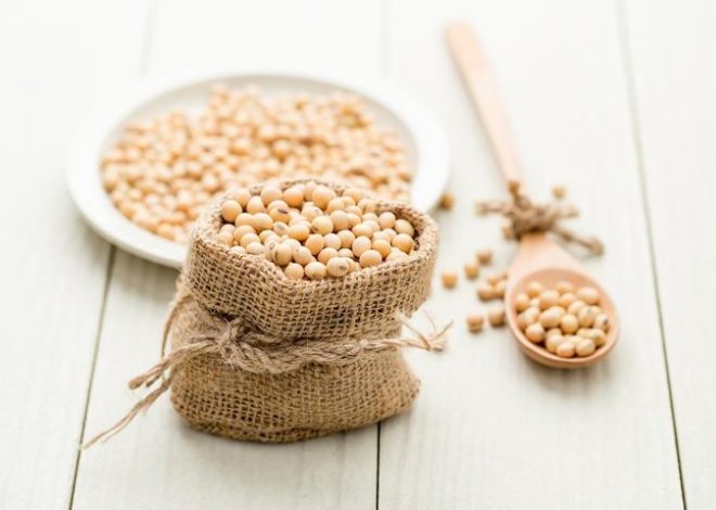 Benefits of Soybeans for Your Nutrition and Health