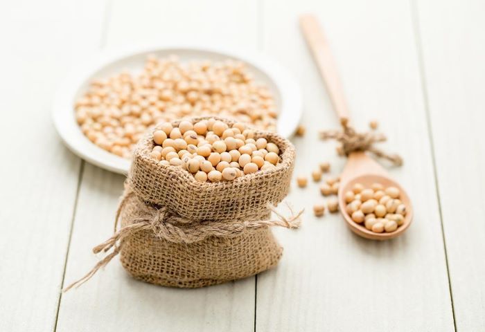 Benefits of Soybeans for Your Nutrition and Health