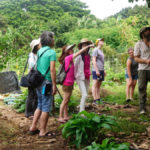 Exploring the World Sustainably: The Rise of Ecotourism