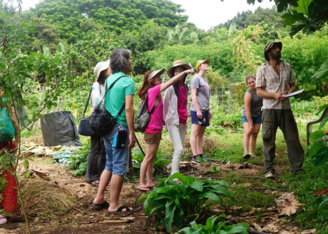 Exploring the World Sustainably: The Rise of Ecotourism