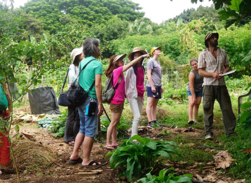 Exploring the World Sustainably: The Rise of Ecotourism
