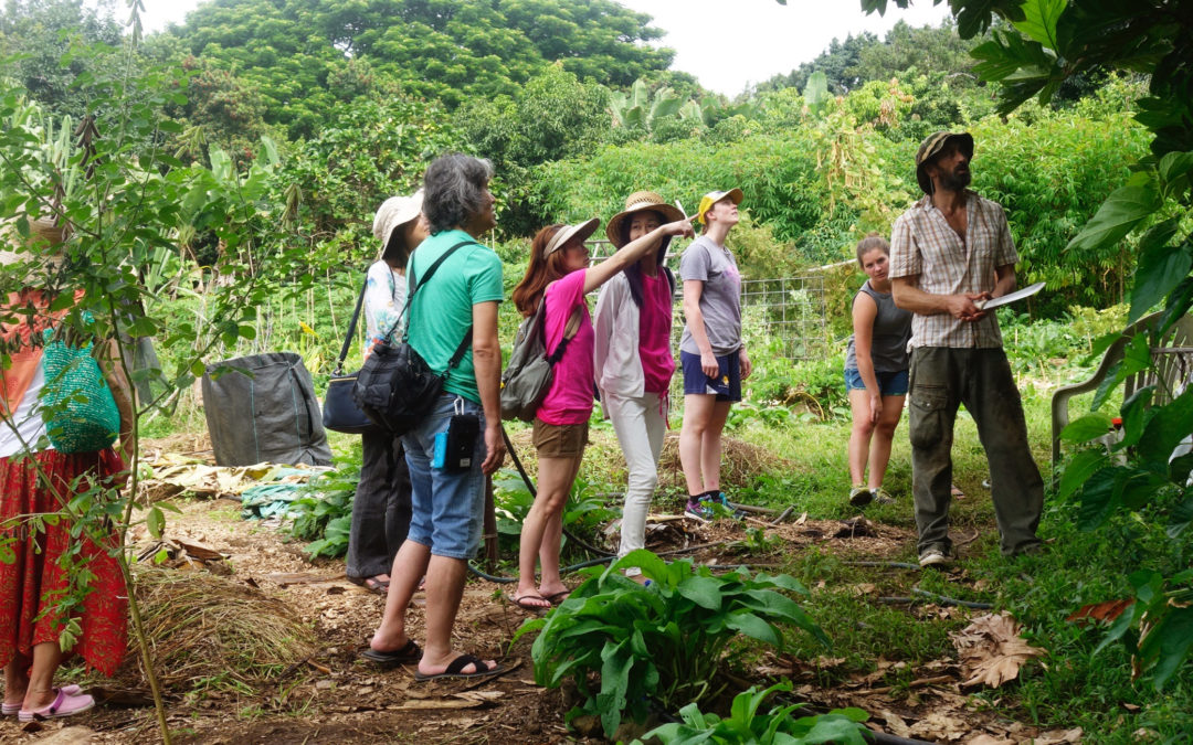 Exploring the World Sustainably: The Rise of Ecotourism